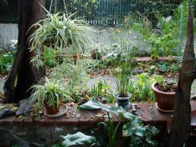 photo coins arrondis